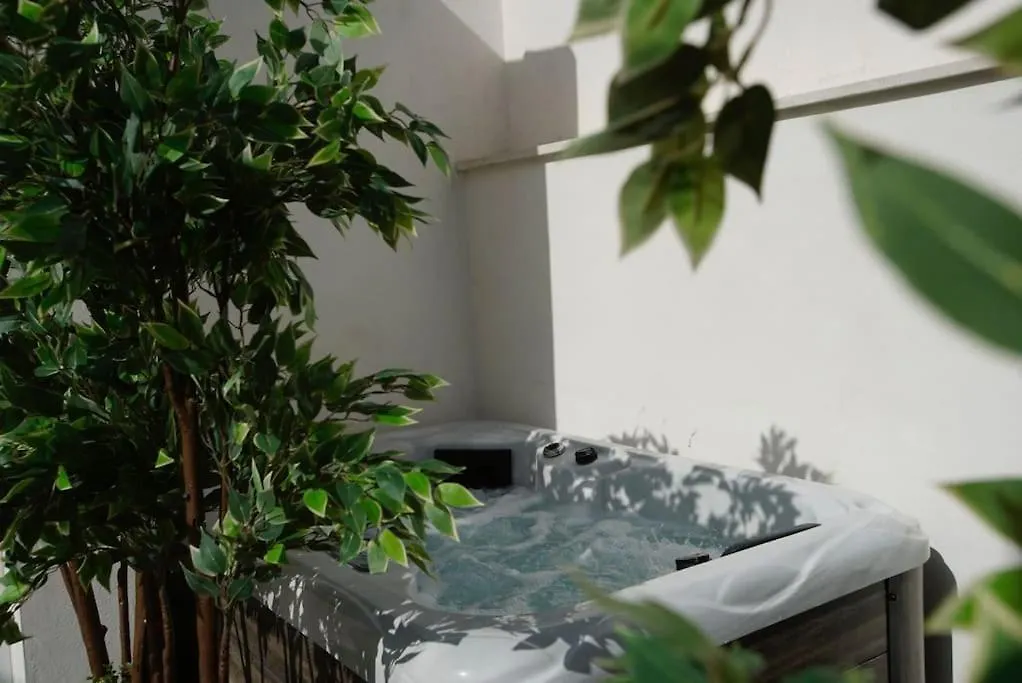Mini Hotel In The Heart Of Sevilla For Exclusive Usage Spain